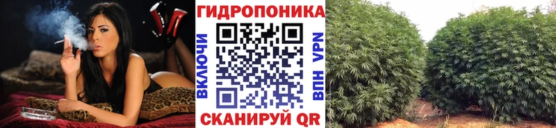 где купить наркотик  Касимов  Шишки марихуана THC 21% 